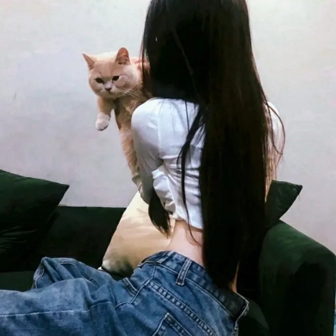 币路婪旅